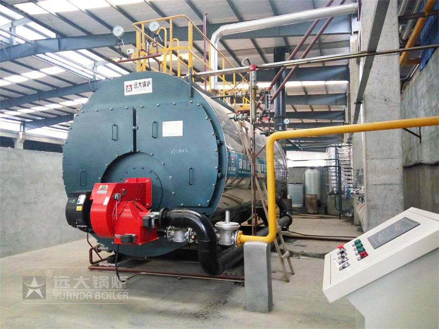 皮革廠6噸燃氣鍋爐運行現場